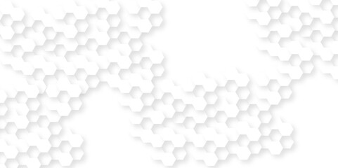 Abstract white minimal hexagon, modern abstract vector polygonal pattern. Futuristic abstract honeycomb technology white background. Luxury white hexagon pattern.