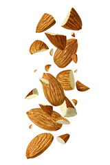almond nut food healthy organic natural ingredient snack isolated seed brown fruit closeup nutrition group