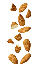 almond nut food healthy organic natural ingredient snack isolated seed brown fruit closeup nutrition group