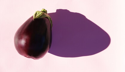 Eggplant Fresh Closeup Horizontal Purple Pink Clean Minimalist Vegetable
