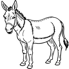 Obraz premium Donkey