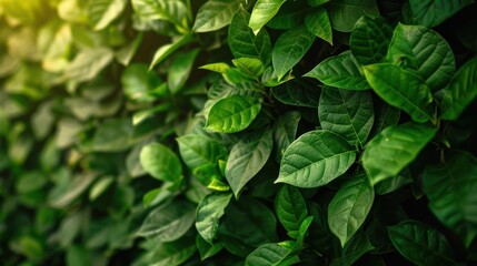 Mockup of a plant wall featuring lush greenery, suitable for background or design use, with space for text related to ecology, sustainability, or eco-friendliness