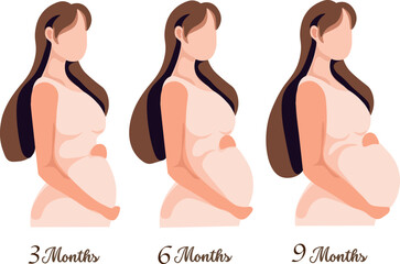 pregnant woman at 3 months, 6 months, and 9 months