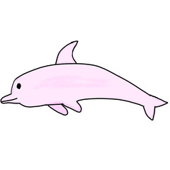 Obraz premium animals