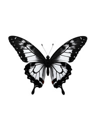 Naklejka premium Elegant Butterfly with Black and White Patterned Wings Displayed.