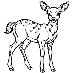 Fawn