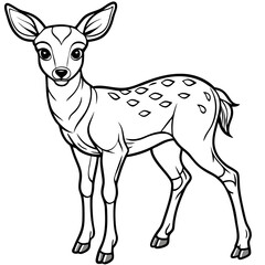 Fawn