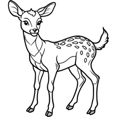 Fawn