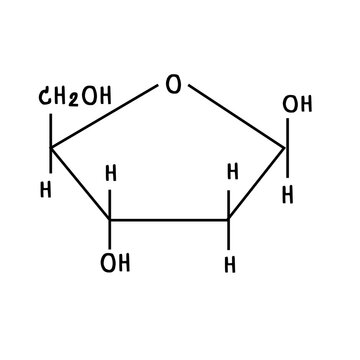 chemical structure of or deoxyribose  illustration