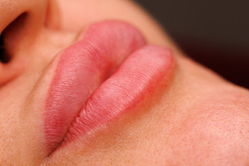 Obraz premium A close up of a womans lips after permanent makeup. The lips are well groomed with a soft pigment shade that is fully healed.