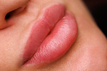 A womans lips one month after permanent makeup. The soft pigment shade gives them a natural and...