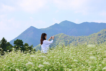 白とピンクのそばの花の丘を散歩する女性　満開のそばの花　青空と白いそばの花の美しいコントラストが印象的な風景