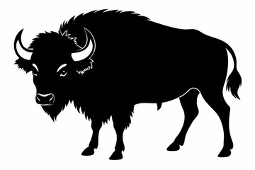 Buffalo silhouette on vector illustration