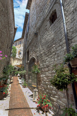Naklejka premium Streets of Assisi, a medieval town in Umbria, Italy, adorned with flowers and historic stone architecture