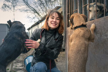Dog at the shelter. Animal shelter volunteer feeding the dogs. Lonely dogs in cage with cheerful...
