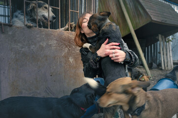 Dog at the shelter. Animal shelter volunteer feeding the dogs. Lonely dogs in cage with cheerful...
