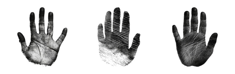 Isolated Hands on Transparent Background