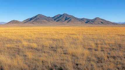 Expansive landscape with mountains and golden grass.