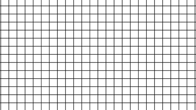 white grid motion background moving grid animation