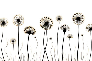 Obraz premium dandelion