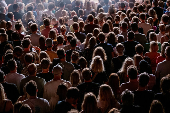 audience at a live concert