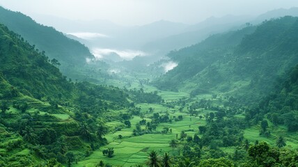 Fototapeta premium Lush green valley surrounded by misty mountains.