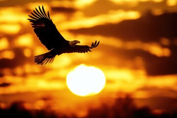 A majestic bald eagle soaring in the sky as the sun sets behind it