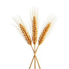 Three Stalks of Golden Wheat with Grain Heads and Tassels