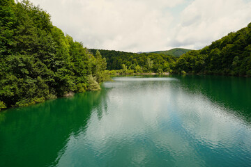 Irabia Swamp. Irati Jungle. Navarra, Spain. The Irati jungle is a forest distributed between Navarra (Spain) and France. It is one of the largest and best preserved beech and fir forests in Europe. © Migeli Barrios