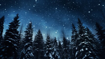 Naklejka premium A view of a snowy forest under a dark night sky, the stars twinkling above the tall evergreen trees.