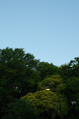 Fototapeta premium 夜へと移ろいゆく風景