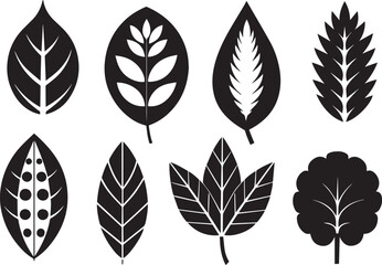 Set of graphic design vector icon leaf ornaments. Hand drawn vector illustration