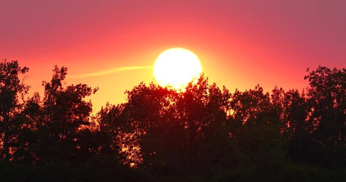Beautiful orange coloured golden hour sunset with trees swaing in the wind