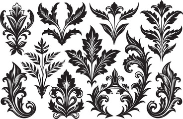 Set of graphic design vector icon leaf ornaments. Hand drawn vector illustration
