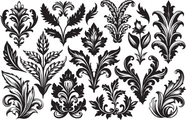 Set of graphic design vector icon leaf ornaments. Hand drawn vector illustration