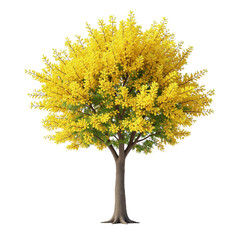 Vibrant Yellow Flowering Tree with Lush Green Foliage.