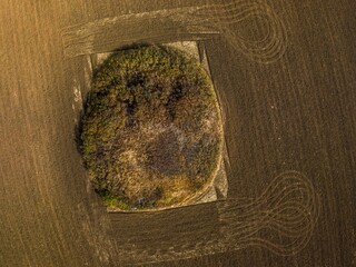 aerial view from above of an ancient mound of a regular round shape, overgrown with blackthorn and...