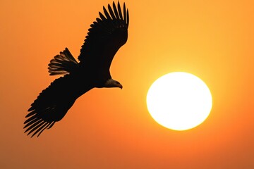 A bird soaring through the sky with the sun shining behind, perfect for travel or nature-themed projects