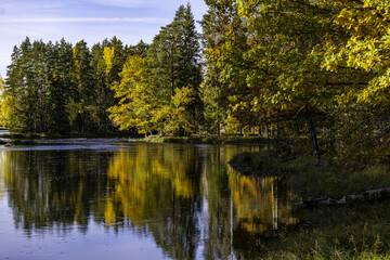Sunny river landscape in autumn. Farnebofjarden national park in north of Sweden