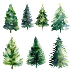 Obraz premium Various watercolor pine trees in different styles and shapes
