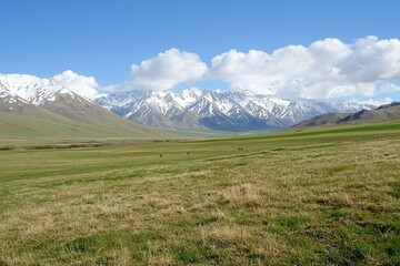 Fototapeta premium Majestic snow-capped mountains rise above green valleys under a vast blue sky in springtime
