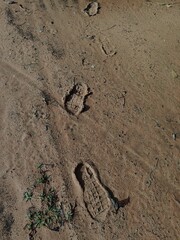 Footprints on wet ground after heavy rain.