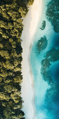Aerial view of crystalline Maldivian waters, showcasing green vegetation and sea with gradients from turquoise to deep blue