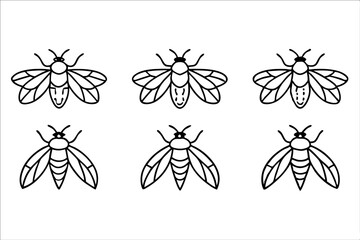 A set of Cicada insects 