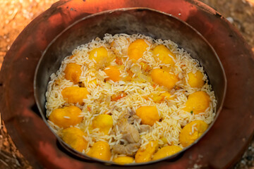 Traditional Brazilian dish chicken with pequi (caryocar brasiliense) and rice