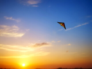 Kite in the blue sky in the rays of the setting sun.