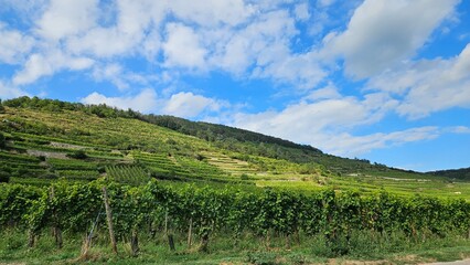 Obraz premium Kaysersberg y Riquewihr