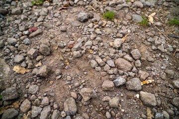 abstract small stones random placement. Texture. Background