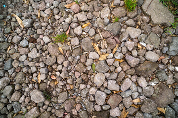 abstract small stones random placement. Texture. Background