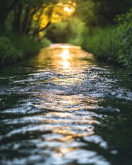 Fototapeta premium A serene river reflects sunlight, surrounded by lush greenery, creating a tranquil atmosphere.
